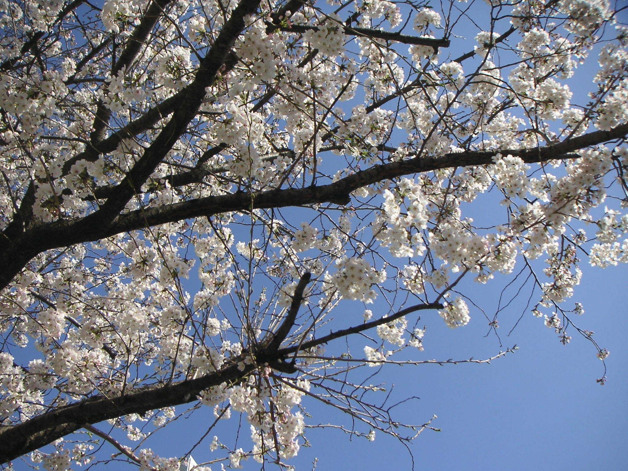 PICT0021.JPG