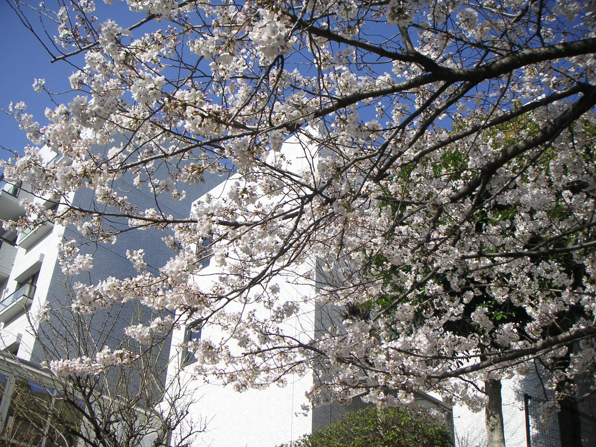 PICT0022.JPG