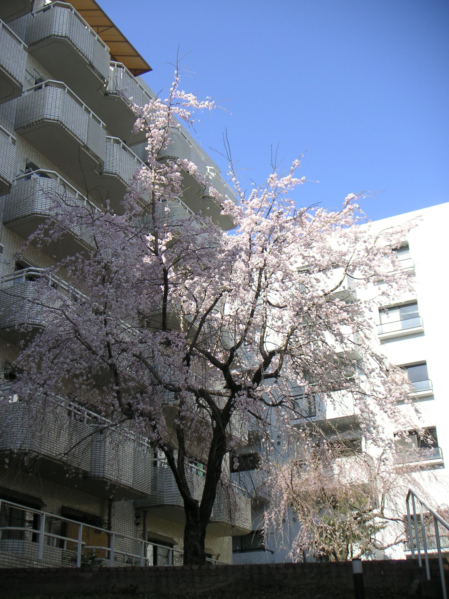 PICT0026.JPG